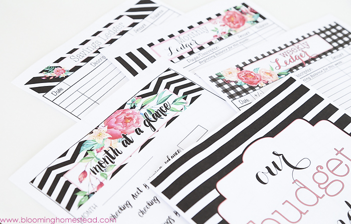 10-free-and-brilliant-budget-printables-to-organize-your-finances