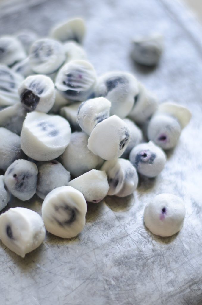 Frozen Yogurt Blueberries